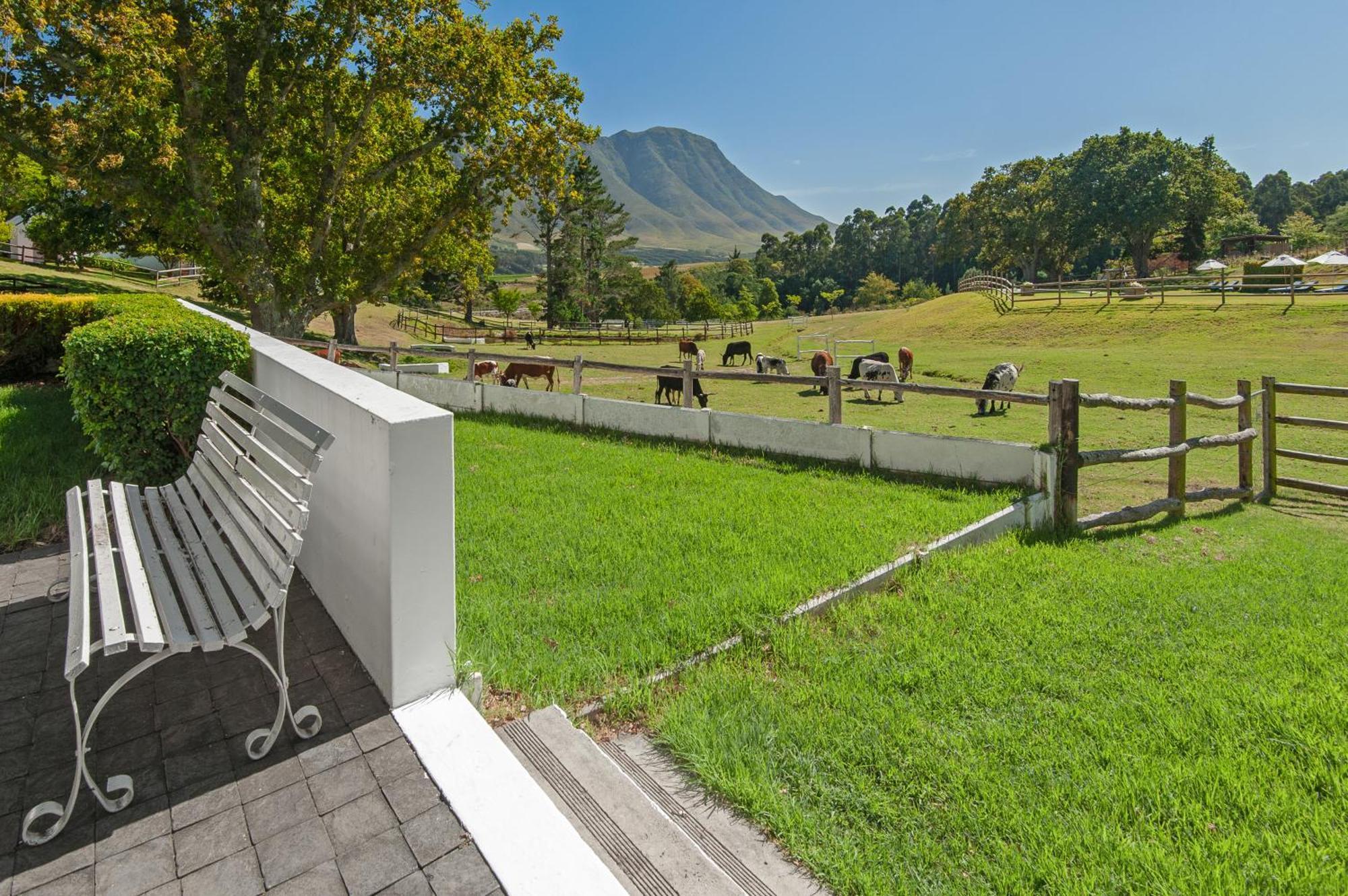 High Season Farm Luxury Cottages Hermanus Buitenkant foto