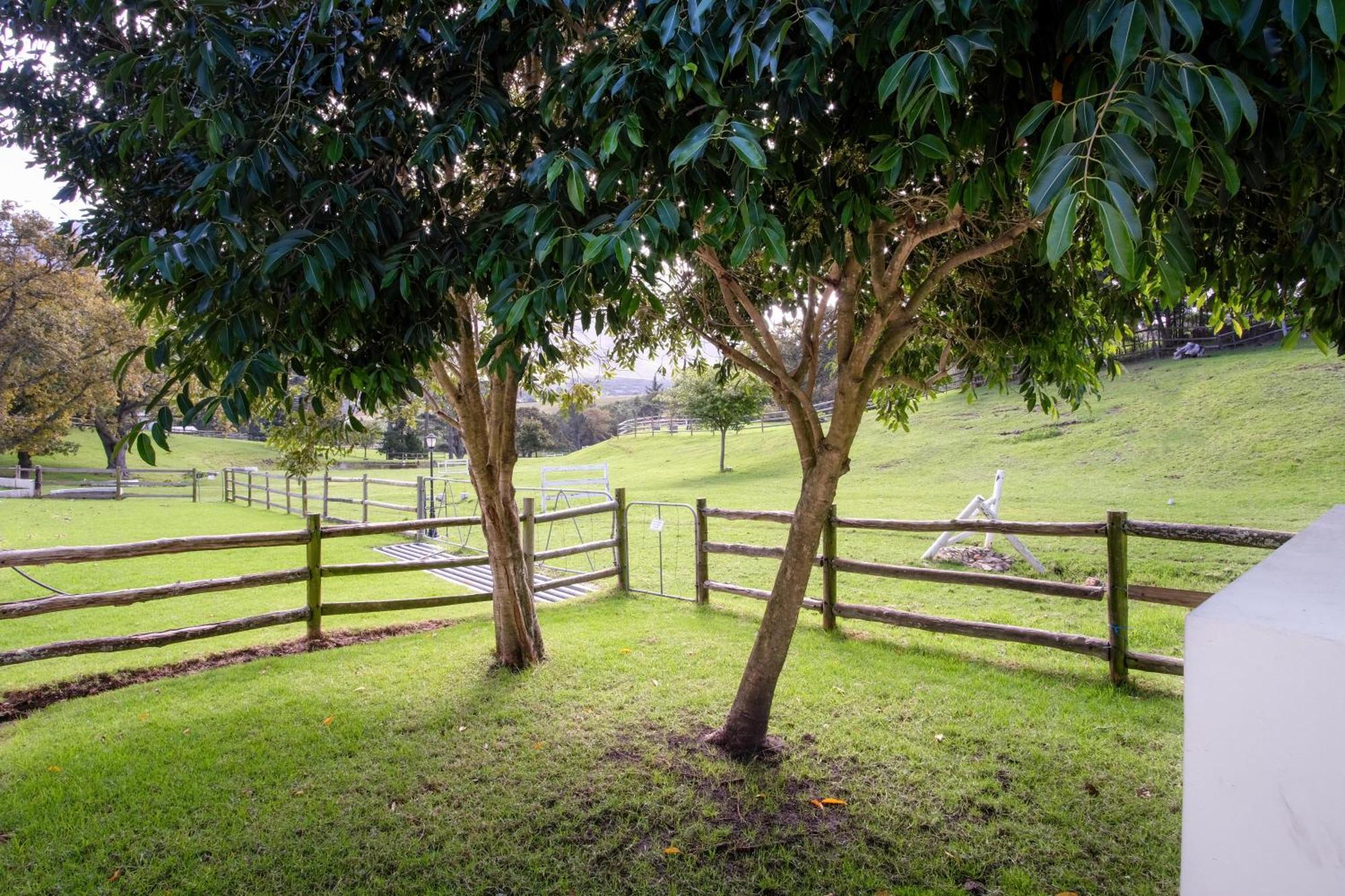 High Season Farm Luxury Cottages Hermanus Kamer foto