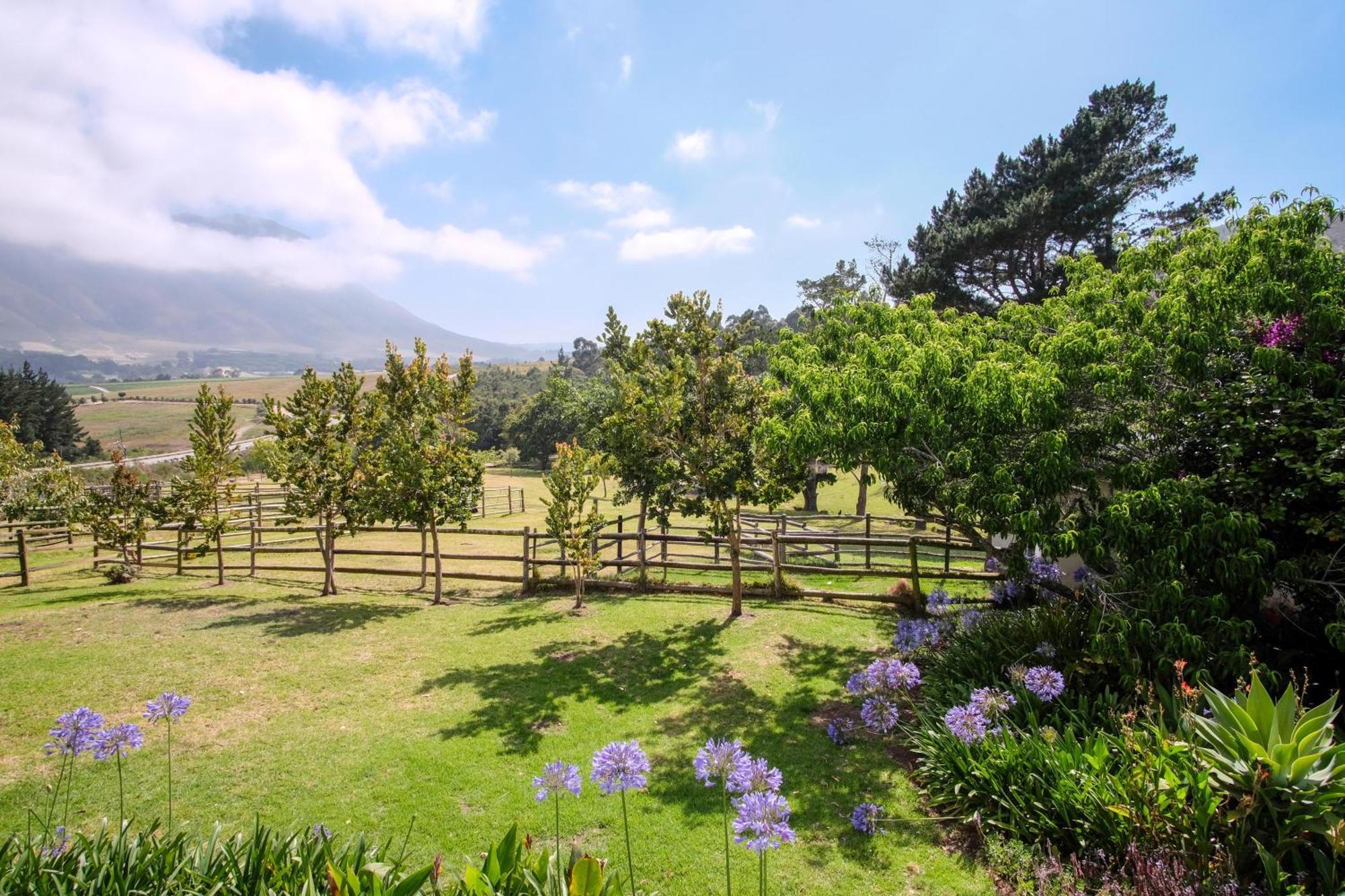 High Season Farm Luxury Cottages Hermanus Kamer foto